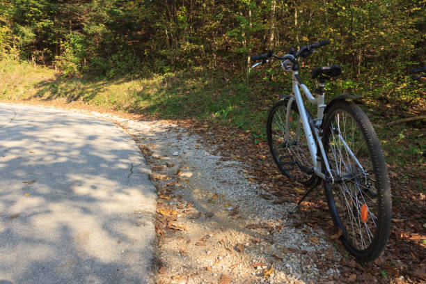 istock bike along the road 1081614494