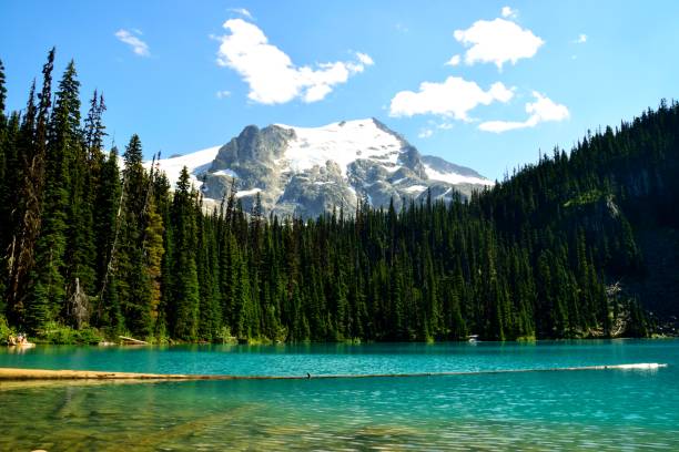 istock Joffre Lakes Provincial park 1081614522