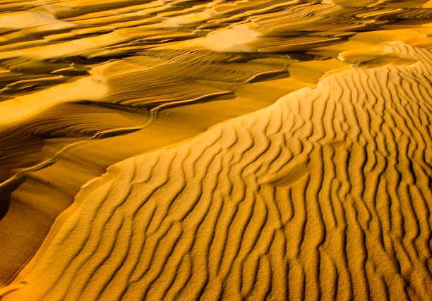 Sand hills built by crabs on a beach in Yemen. Without people.