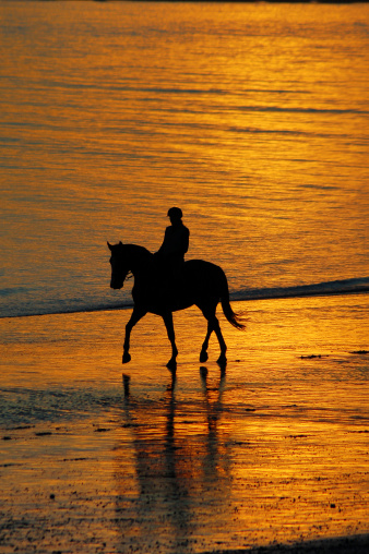 A modern man in summer clothes enjoys riding a horse on a beautiful sandy beach at sunset. Selective focus . High quality photo