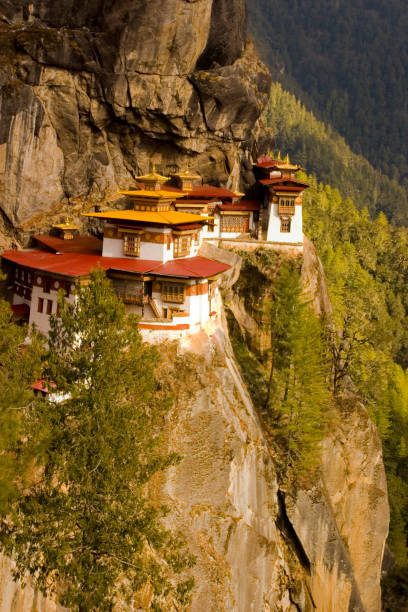 tygrysy nest monastery na klif w bhutanie azji - taktsang monastery obrazy zdjęcia i obrazy z banku zdjęć