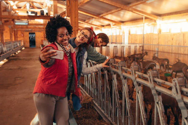 istock Goat Farm Owners With Volunteers 1081618754