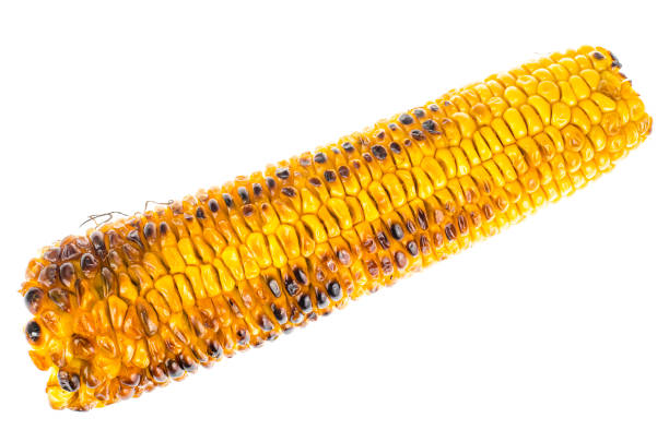 istock Cob of ripe hot corn grill 1081619070
