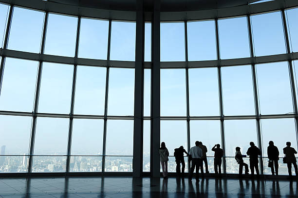 istock All right. View from the top. Tokyo 108162138