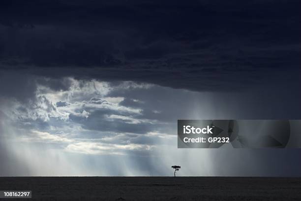 Photo libre de droit de Paysage Africain Avec Des Nuages Dorage banque d'images et plus d'images libres de droit de Paysage - Paysage, Tempête, Acacia