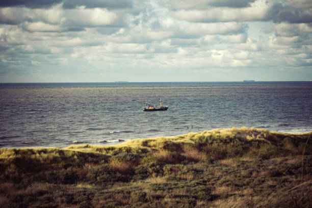 Beach in Zeeland with a view of the North Sea