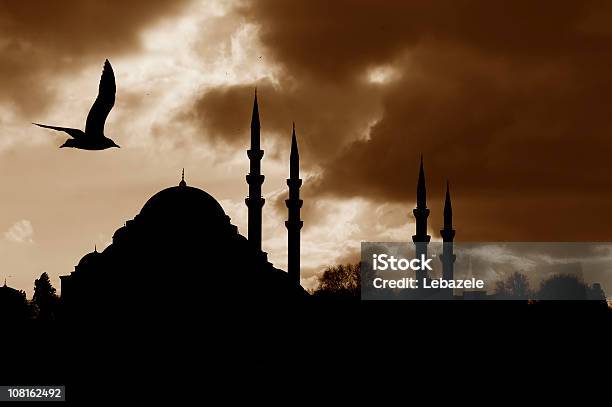 シルエットのモスク - イスラム教のストックフォトや画像を多数ご用意 - イスラム教, 影, イスタンブール