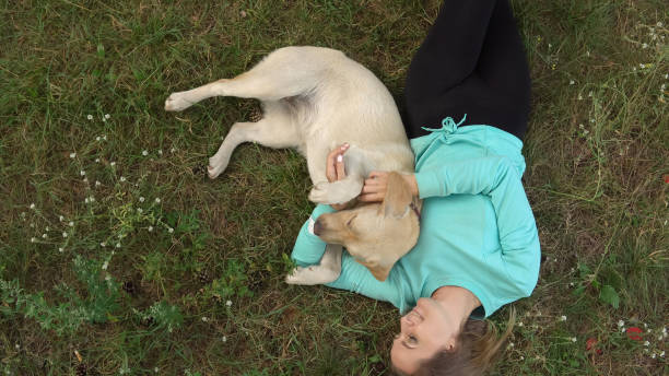 istock Young woman is walking with dog in the forest 1081626310