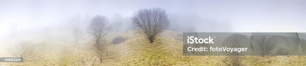 Foggy Landschaft mit Wiesen und Baum - Lizenzfrei Nebel Stock-Foto