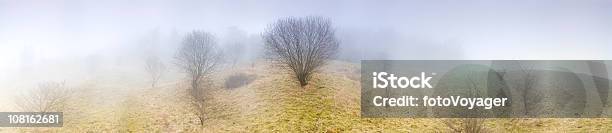Foggy Krajobraz Z Łąki Drzewa - zdjęcia stockowe i więcej obrazów Mgła - Mgła, Bez ludzi, Bezlistne drzewo