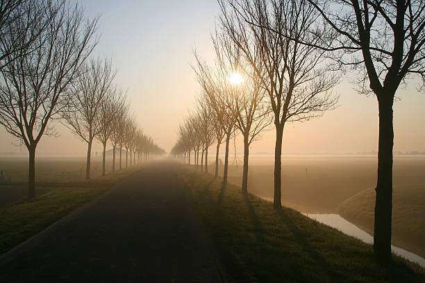 Beautiful rising sun in mist over a rural landscape in autumn with a country road disappearing in fog.