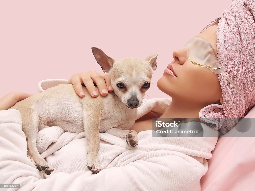 Entspannung und Schönheit - Lizenzfrei Hund Stock-Foto