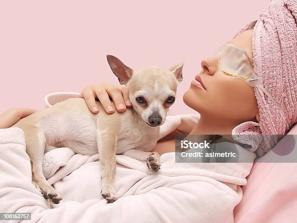 Relax Bellezza - Fotografie stock e altre immagini di Cane - Cane, Lusso, Solo una donna