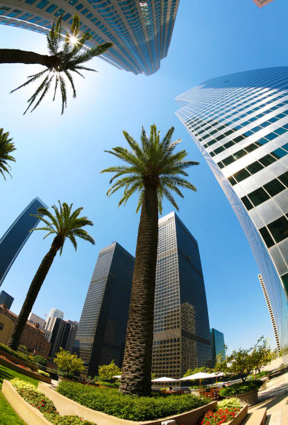 istock Downtown Los Angeles On A Hot Sunny Day 108162777