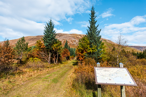 Laugarvatn, Iceland - September 20, 2018: Landscape view of orange foliage autumn fall season, pine tree forest trail hiking path in Golden Circle, map directions