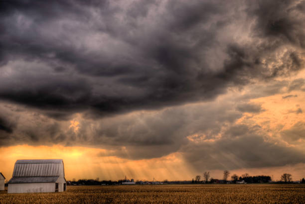 noite de tempestade - storm corn rain field - fotografias e filmes do acervo