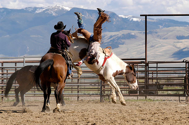 kowboj na koniu w rodeo bucked - rodeo cowboy montana bucking bronco zdjęcia i obrazy z banku zdjęć