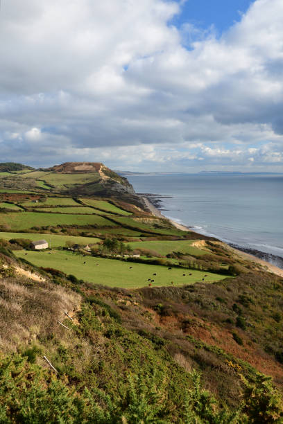 istock Golden cap mountain in Dorset 1081629470