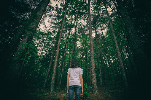 Young girl looking into a mysterious forest full of very tall trees.