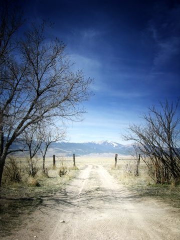 Dirt road in the countryside on a sunny Spring day