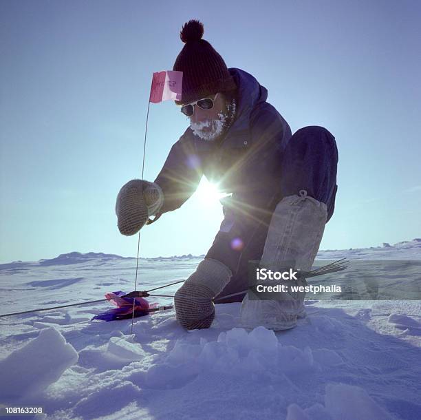 Arctic Sísmico Foto de stock y más banco de imágenes de Polo Norte - Polo Norte, Exploración, Ártico