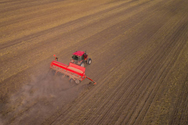 istock Tractor sows winter crops in the field 1081632528