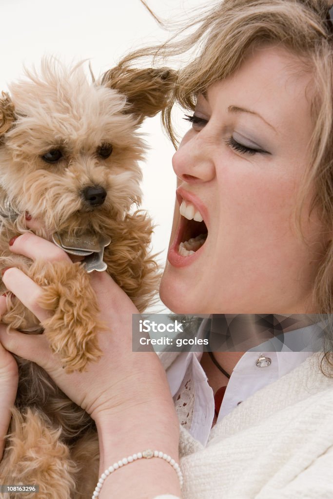 Femme tenant et Yelling au Terrier chien - Photo de Chien libre de droits