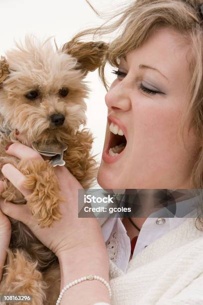 Photo libre de droit de Femme Tenant Et Yelling Au Terrier Chien banque d'images et plus d'images libres de droit de Chien - Chien, Animaux de compagnie, Colère