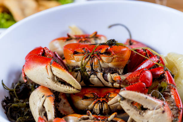 istock sea food 1081633288