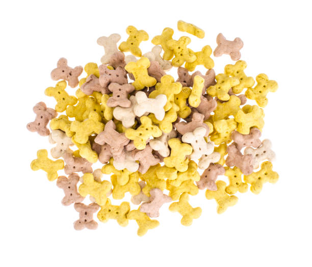 istock Dry dog food 1081636340