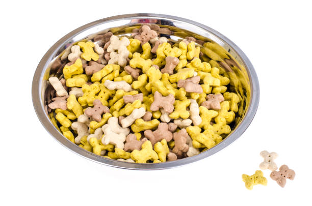 istock Dry dog food 1081636344