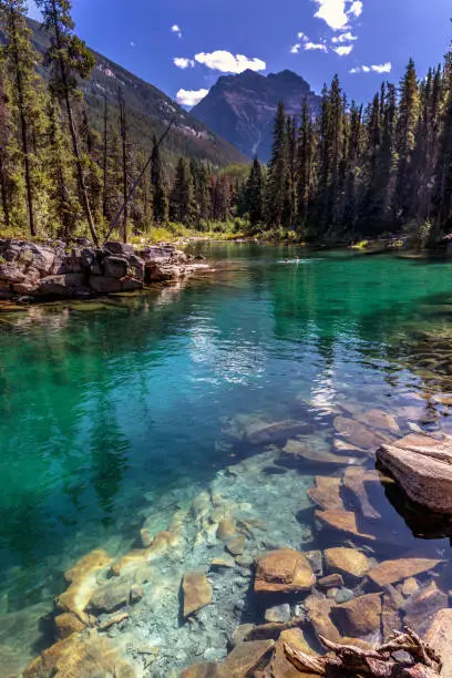 Photo of Very clear water with some rocks and pine trees in a blue sky day in Banff National Park in Canada