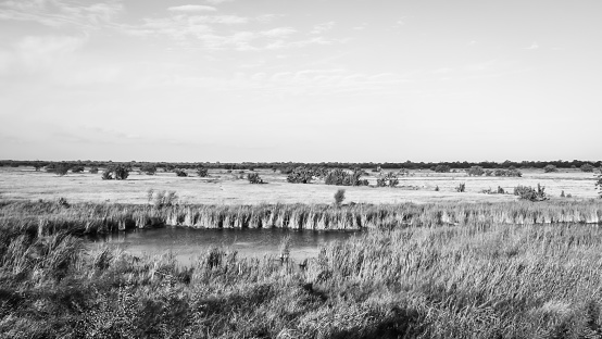 Beautiful valley with a lake at dry zone , Sri lanka . Black and White