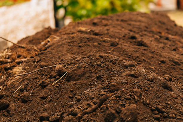 istock background dark fertile soil with roots close up 1081655604