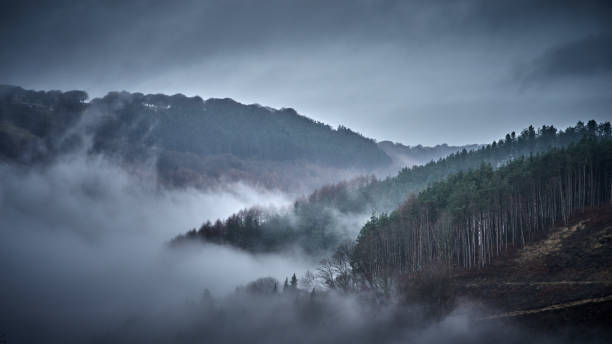 istock Misty Morning in the Valley 1081655698