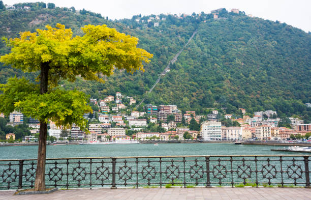 istock Landscape on Como Lake from shore in Italy 1081659652