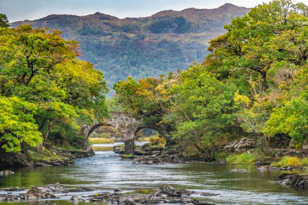 old weir bridge, meeting of the waters, dove i tre laghi killarney (upper, muckross e lough lane) incontrano il killarney national park, county kerry, irlanda. - weir foto e immagini stock