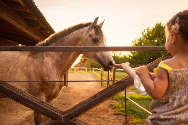 istock Meeting new friend 1081667228