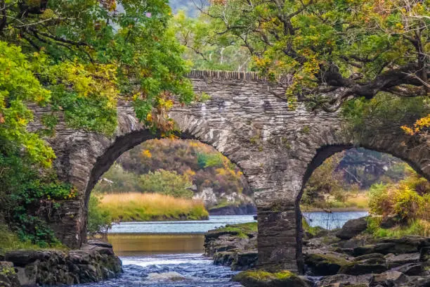 Old Weir Bridge, Meeting of the Waters, where the three Killarney lakes (Upper, Muckross and Lough Lane) meet Killarney National Park, County Kerry, Ireland.