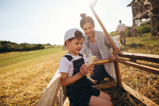 istock Family at the farm 1081667736