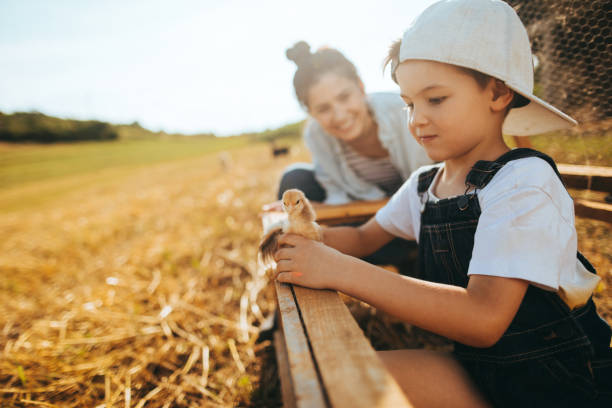 istock Family at the farm 1081667742