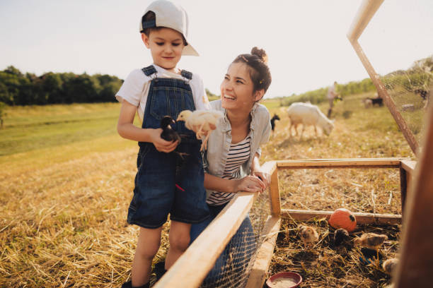 istock Family at the farm 1081668356
