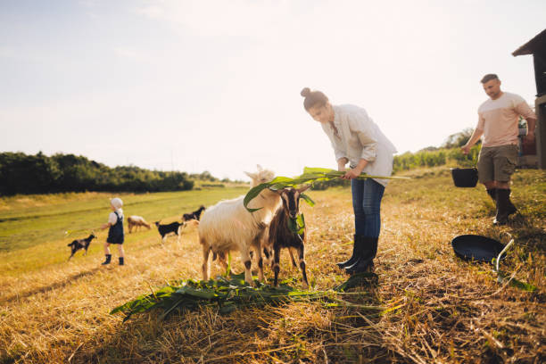Family at the farm