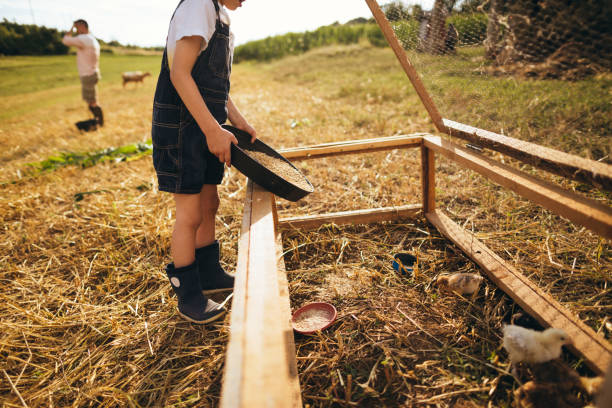 istock Family at the farm 1081668550