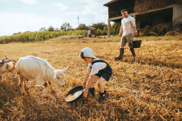 istock Family at the farm 1081668714