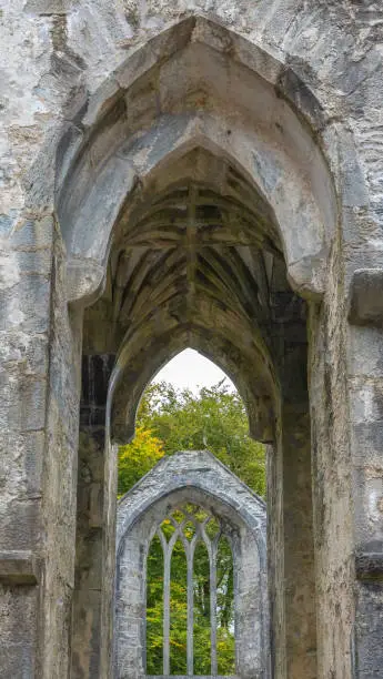 Ruins of the Muckross Abbey, founded in 1448 as a Franciscan friary. Killarney National Park, County Kerry, Ireland.