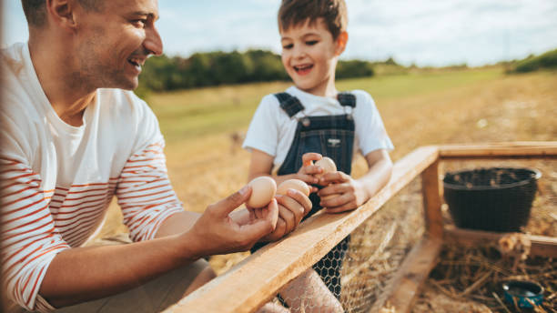 istock Farmers collecting eggs on a farm 1081670698