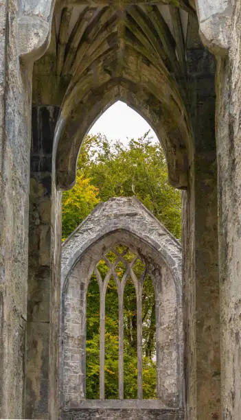 Ruins of the Muckross Abbey, founded in 1448 as a Franciscan friary. Killarney National Park, County Kerry, Ireland.