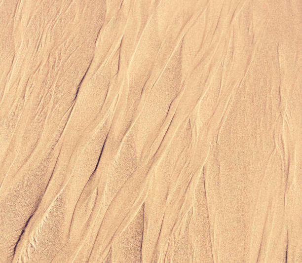 istock drawings in the sand from the wind and water 1081674134