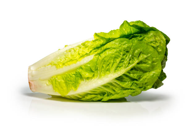 istock Romaine lettuce salad 1081677460